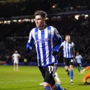 Former Rangers youngster Kirk Willoughby is part of the Sheffield Wednesday scouting team responsible for bringing players like Josh Windass to the club.